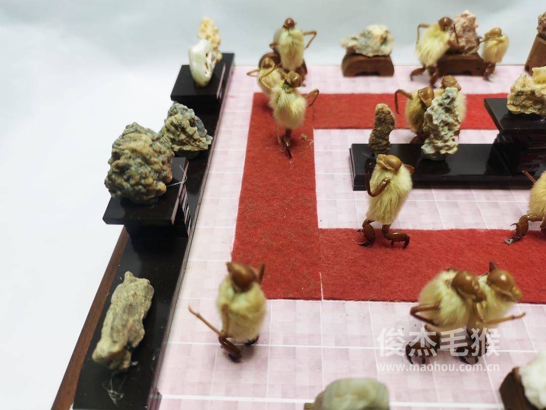 奇石展_大型北京毛猴作品4.jpg 奇石展_大型北京毛猴作品4.jpg