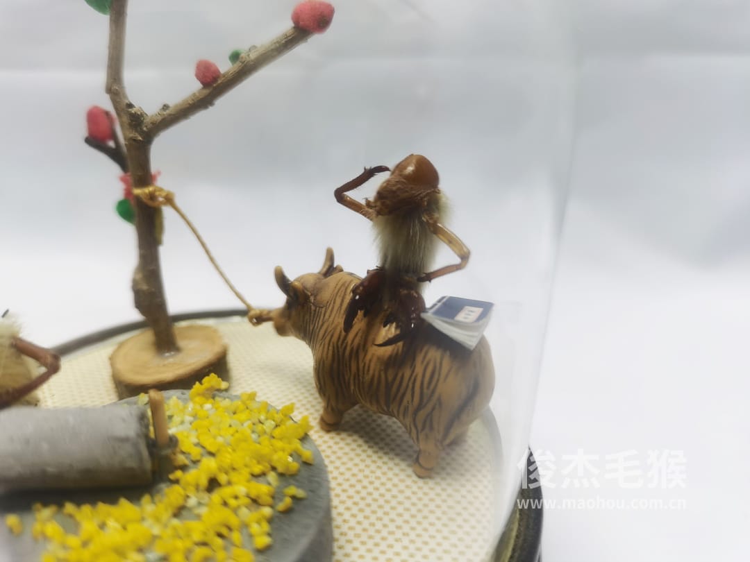 拉磨_小型北京毛猴作品_桦木底座+圆玻璃罩3.jpg 拉磨_小型北京毛猴作品_桦木底座+圆玻璃罩3.jpg