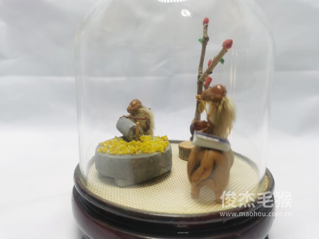 拉磨_小型北京毛猴作品_桦木底座+圆玻璃罩5.jpg 拉磨_小型北京毛猴作品_桦木底座+圆玻璃罩5.jpg