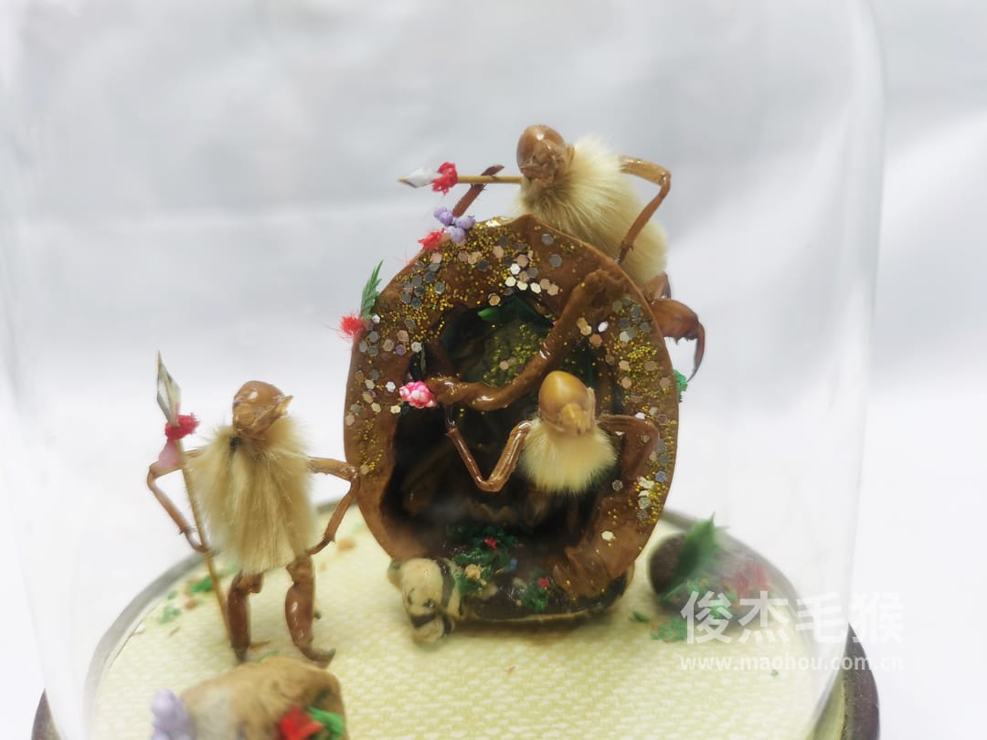 和和睦睦_小型北京毛猴作品_桦木底座+圆玻璃罩2.jpg 和和睦睦_小型北京毛猴作品_桦木底座+圆玻璃罩2.jpg