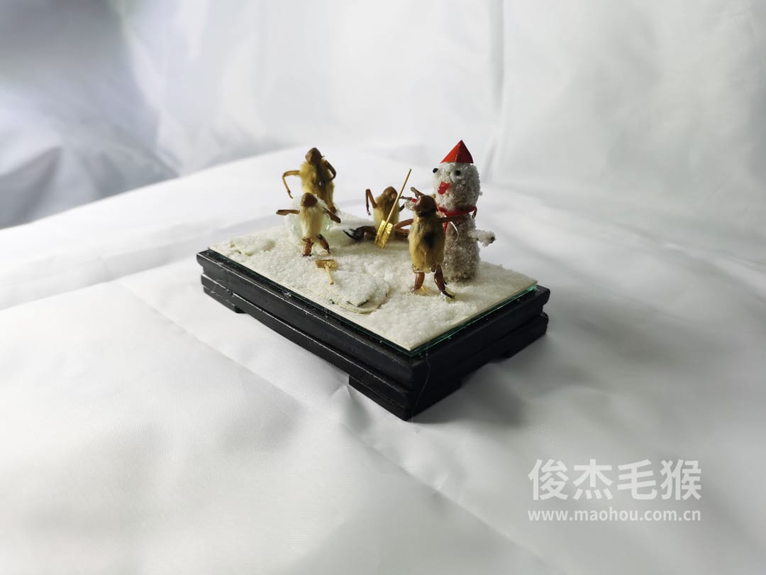 堆雪人_中型北京毛猴作品_玻璃方形底座+方形玻璃罩
3.jpg 堆雪人_中型北京毛猴作品_玻璃方形底座+方形玻璃罩
3.jpg