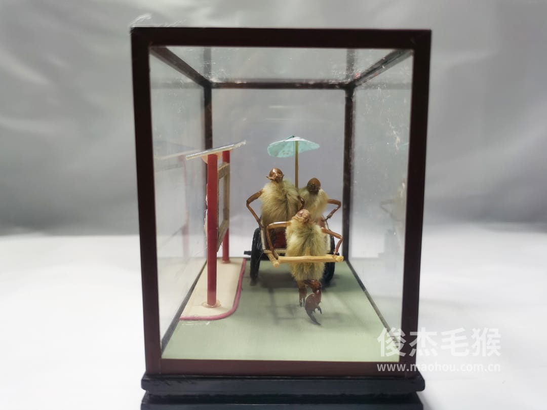 拉洋车(二)_小型北京毛猴作品_桦木底座+圆玻璃罩3.jpg 拉洋车(二)_小型北京毛猴作品_桦木底座+圆玻璃罩3.jpg