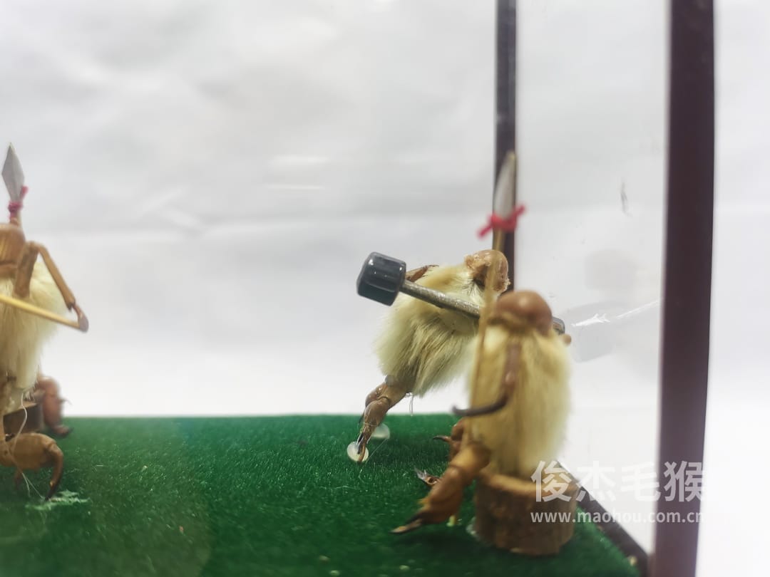 练武_中型北京毛猴作品_红木木托+方形玻璃罩2.jpg 练武_中型北京毛猴作品_红木木托+方形玻璃罩2.jpg