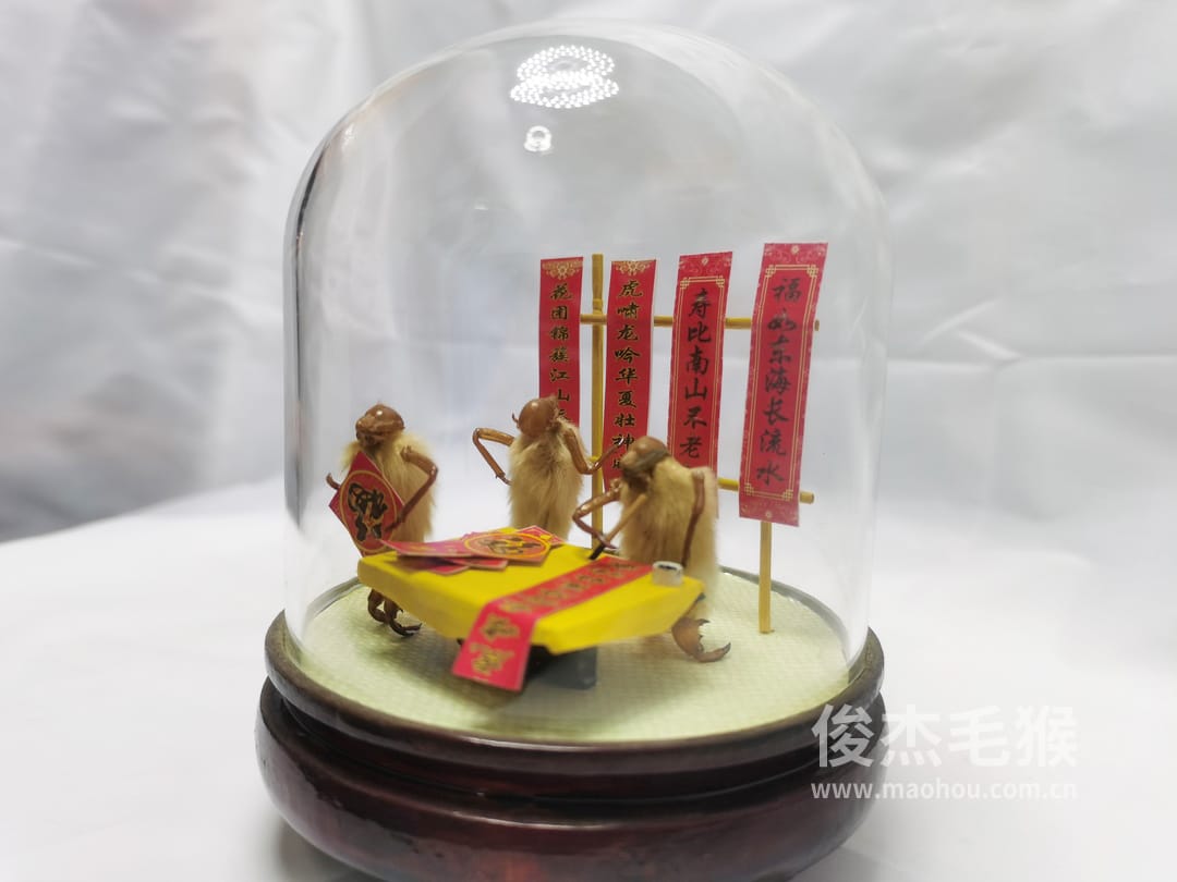 卖春联_小型北京毛猴作品_桦木底座+圆玻璃罩4.jpg 卖春联_小型北京毛猴作品_桦木底座+圆玻璃罩4.jpg