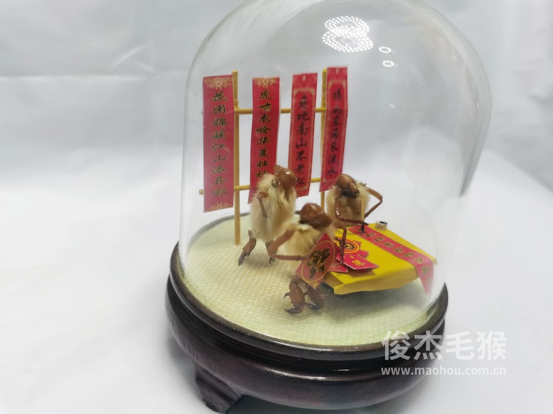 卖春联_小型北京毛猴作品_桦木底座+圆玻璃罩5.jpg 卖春联_小型北京毛猴作品_桦木底座+圆玻璃罩5.jpg