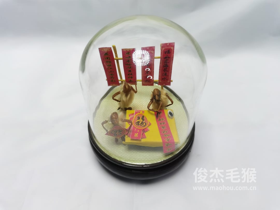 卖春联_小型北京毛猴作品_桦木底座+圆玻璃罩6.jpg 卖春联_小型北京毛猴作品_桦木底座+圆玻璃罩6.jpg