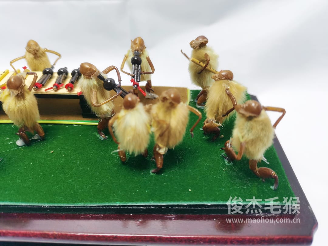 卖乐器_中型北京毛猴作品_压缩木木托+方形玻璃罩3.jpg 卖乐器_中型北京毛猴作品_压缩木木托+方形玻璃罩3.jpg