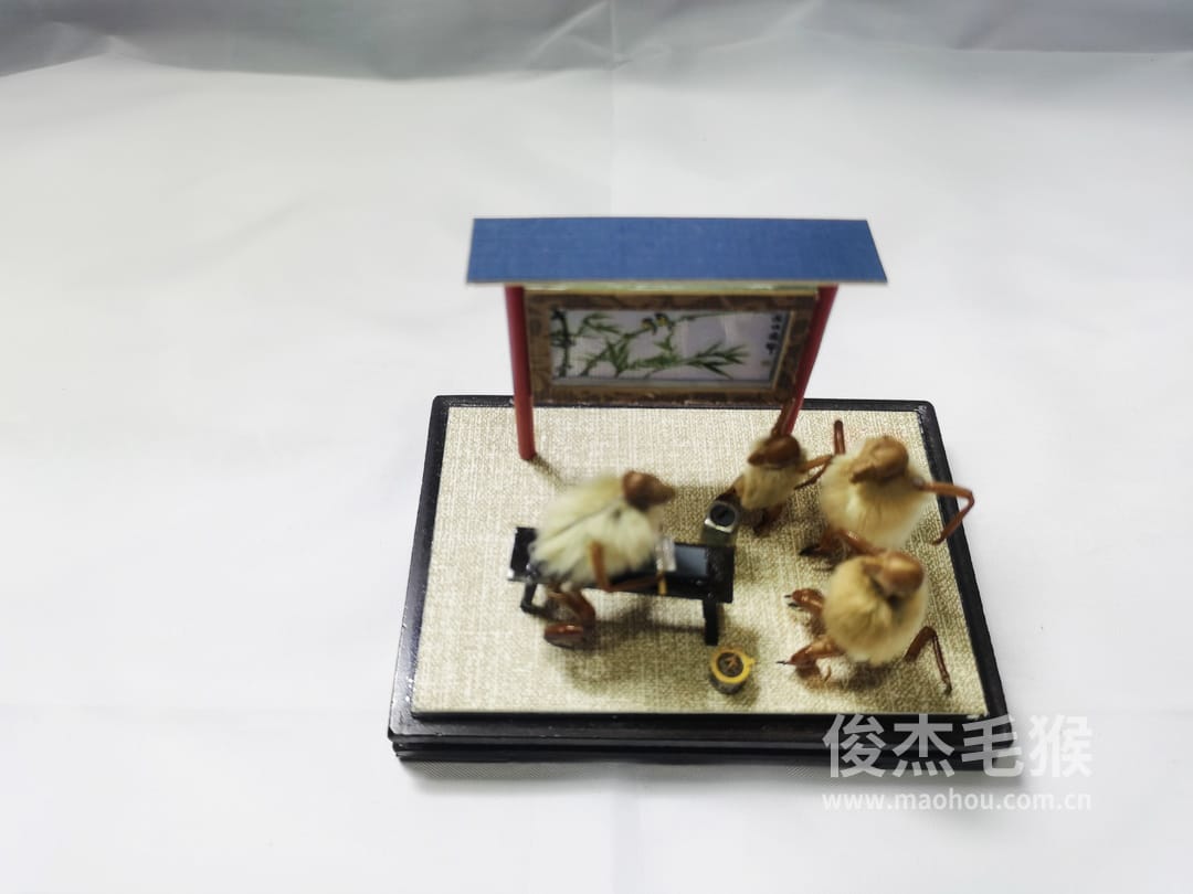 磨菜刀_小型北京毛猴作品_玻璃方形底座+方形玻璃罩6.jpg 磨菜刀_小型北京毛猴作品_玻璃方形底座+方形玻璃罩6.jpg